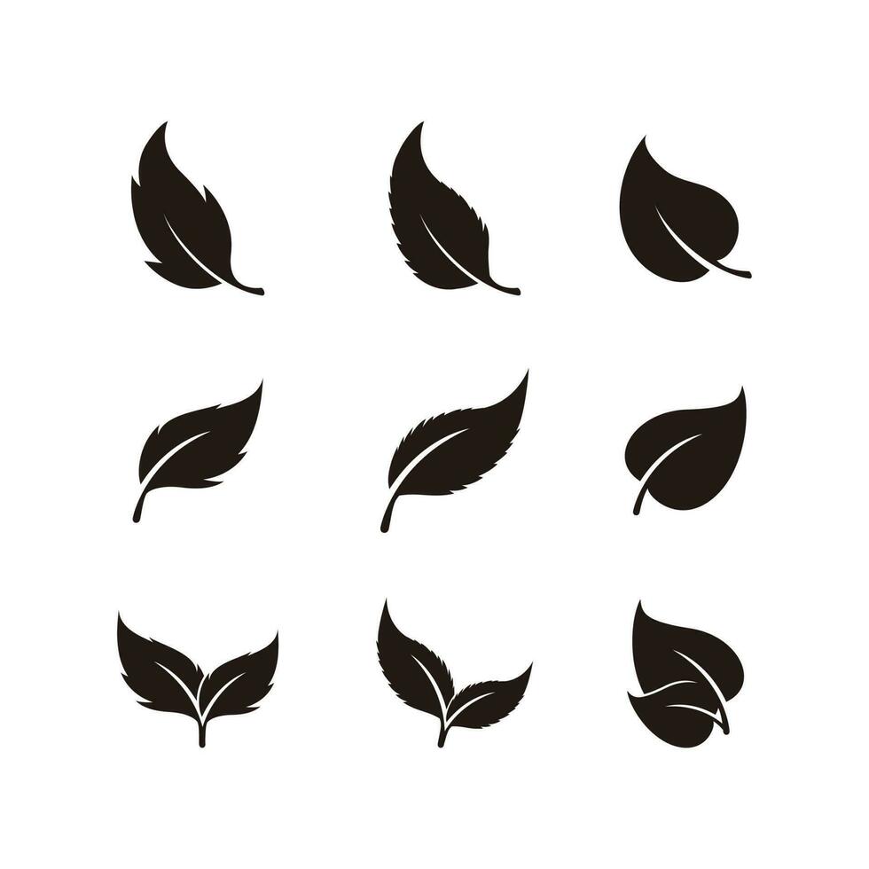 Seed Growth Illustration Logo. Set of Green Leaf Logo design inspiration vector icons