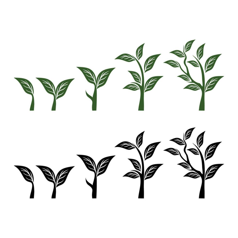 Seed Growth Illustration Logo. Set of Green Leaf Logo design inspiration vector icons