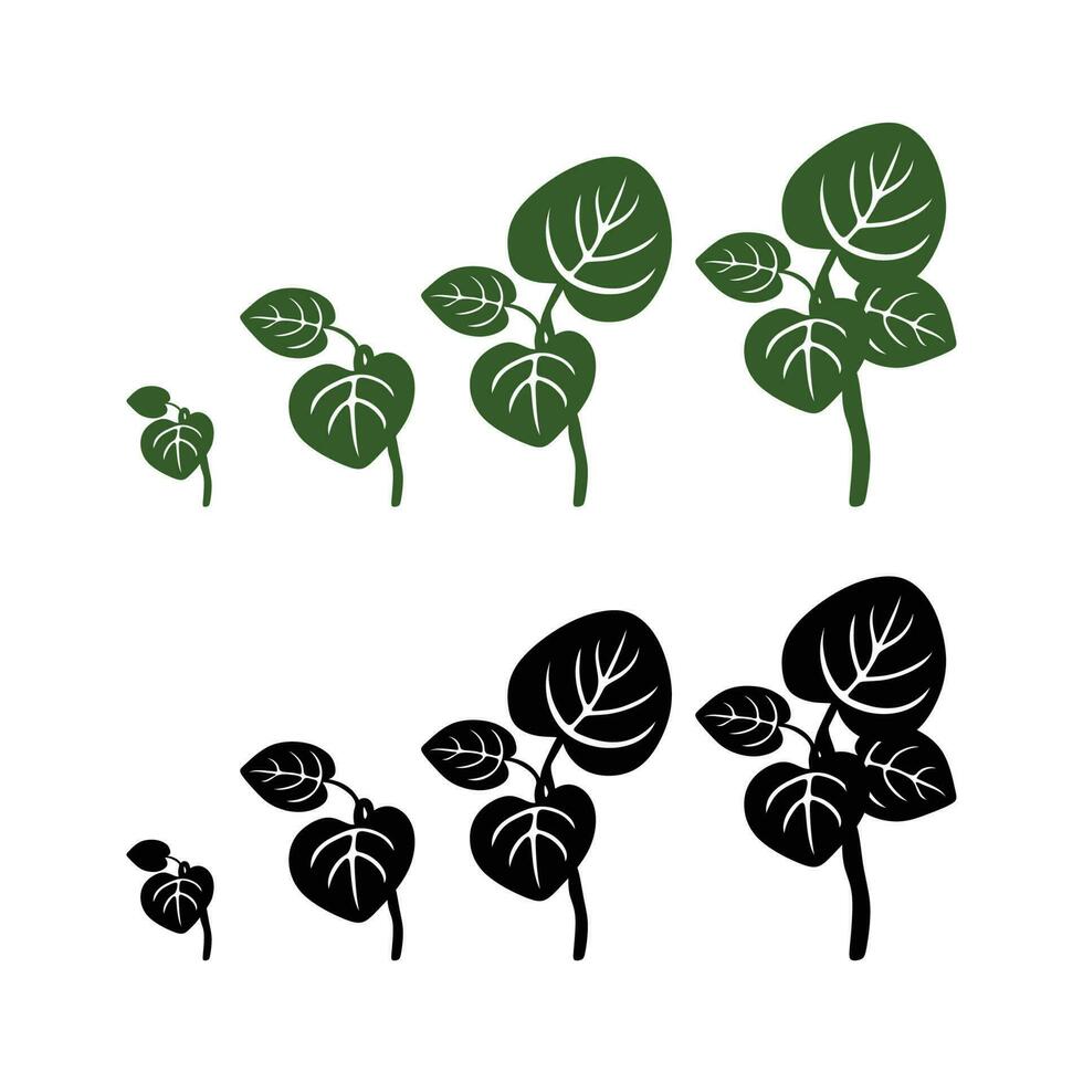 Seed Growth Illustration Logo. Set of Green Leaf Logo design inspiration vector icons