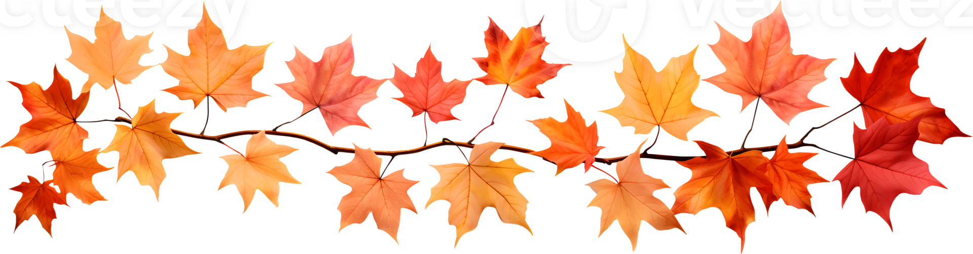 Autumn maple leaf branch seasonal nature decoration element, AI generative png