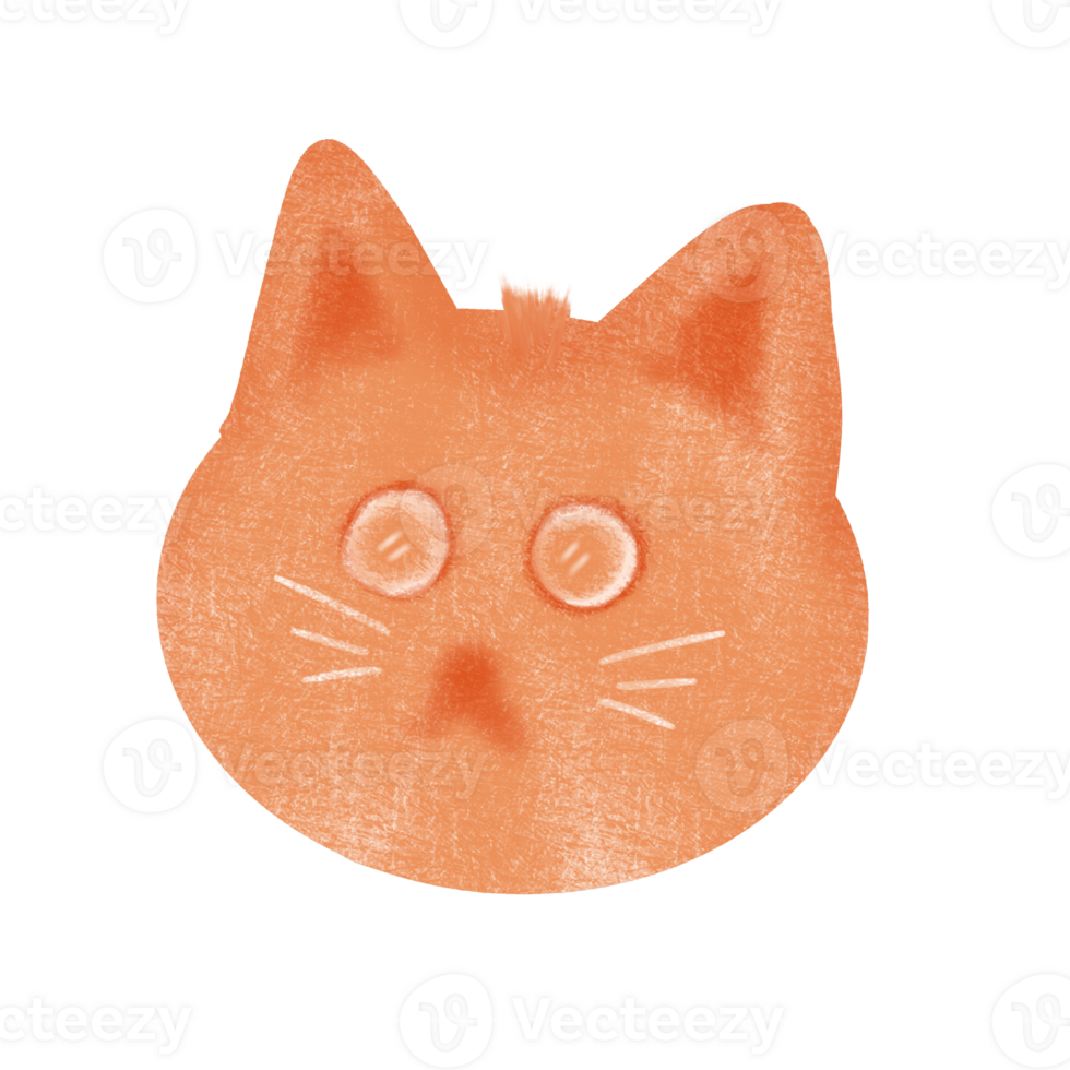 Cute fat baby cat png