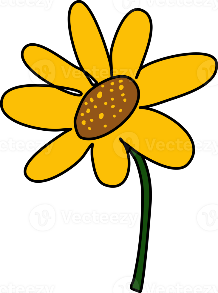 Freehand sunflowers element png