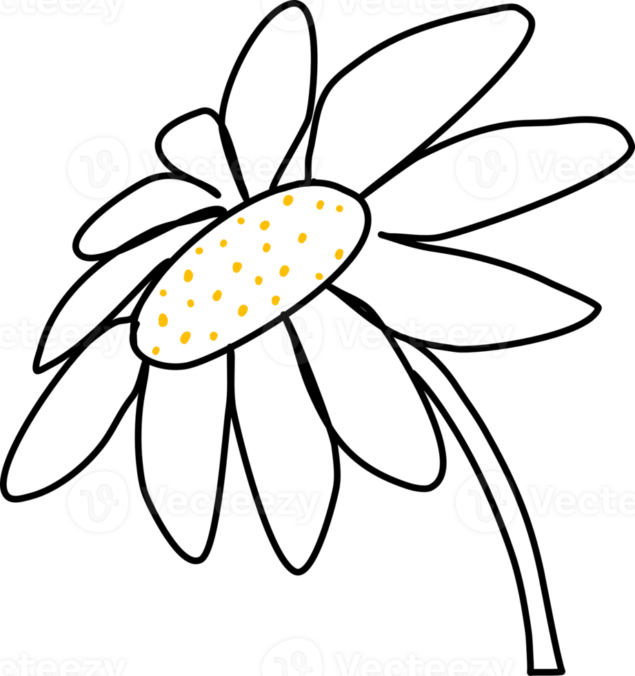 Sunflower doodle element png