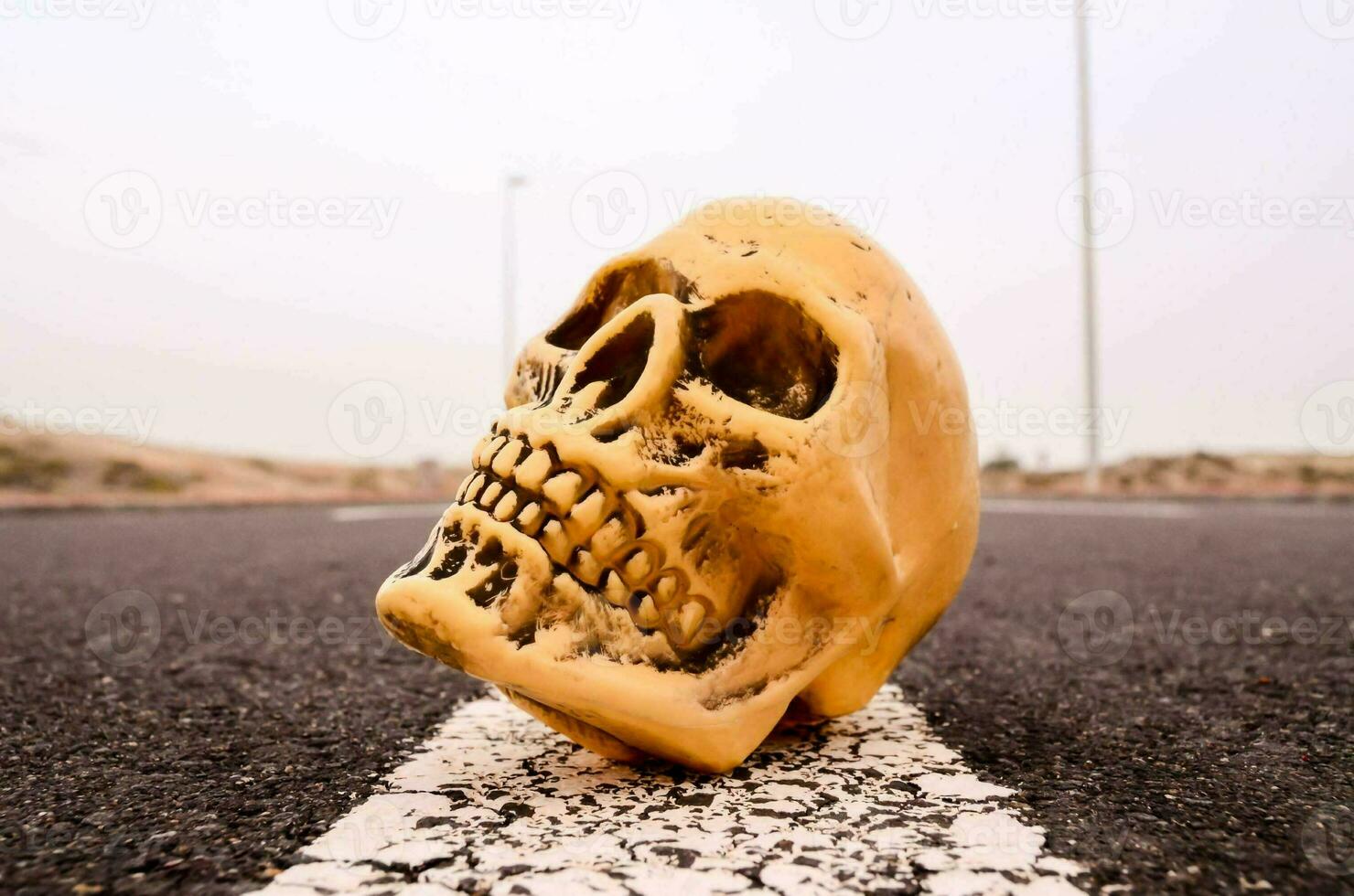 a skull is sitting on the road photo