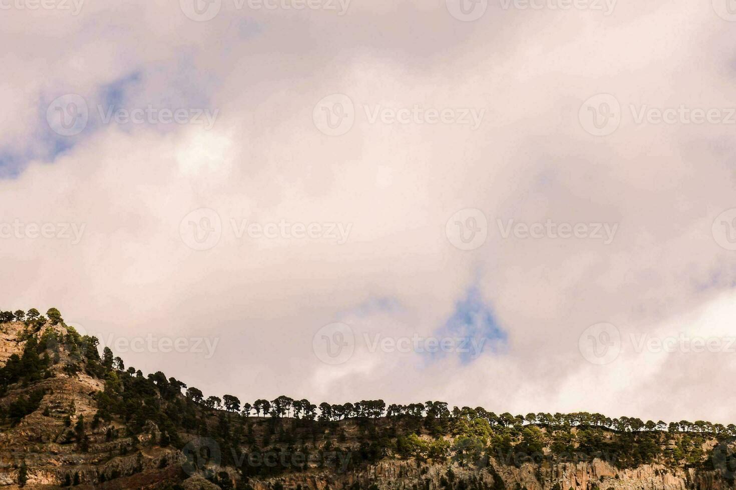a mountain with trees and clouds in the background photo