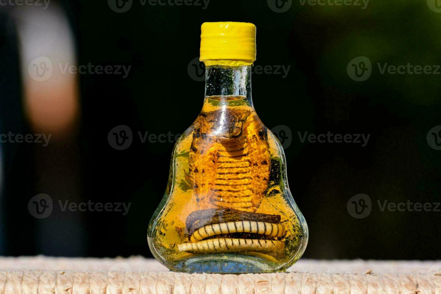 a bottle with a snake inside photo