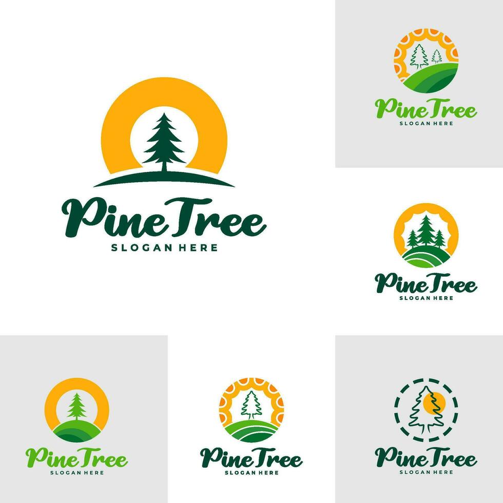 Set of Pine Tree with Sun logo design vector. Creative Pine Tree logo concepts template vector