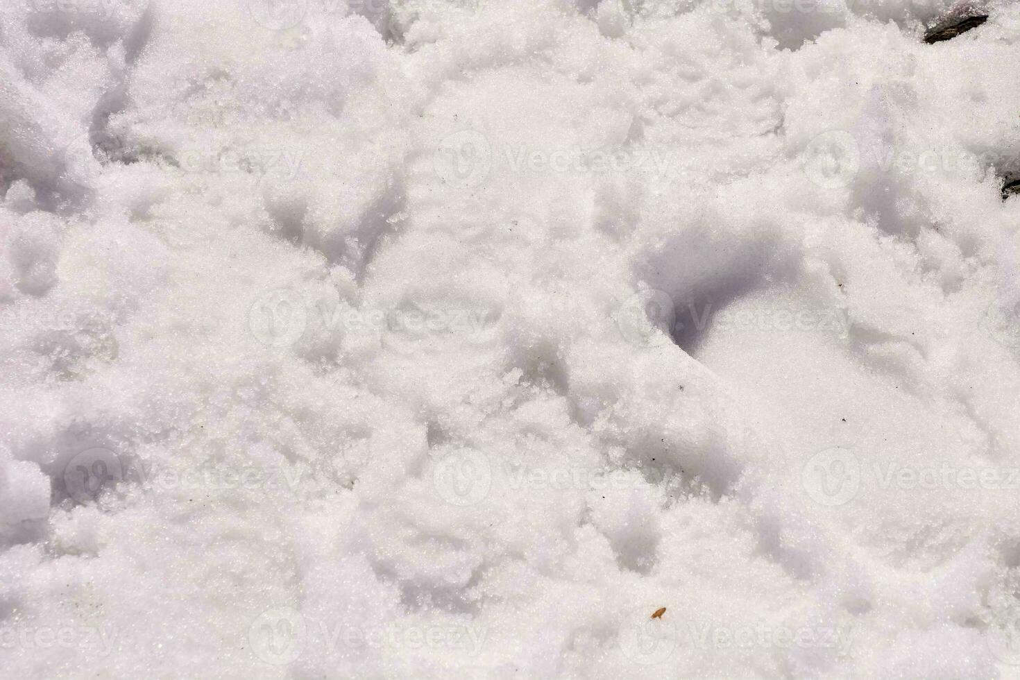 a snow covered ground with footprints photo