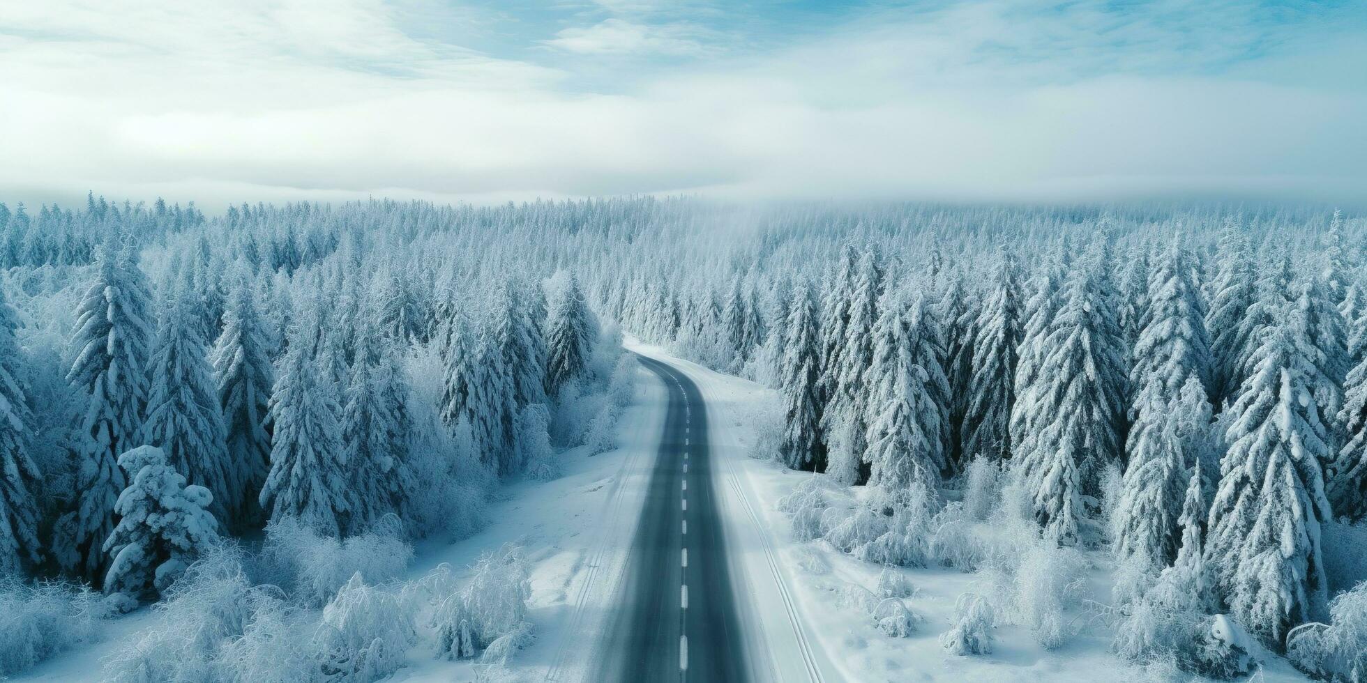 Generative AI, Misty winter fir forest beautiful landscape with road, in hipster vintage retro style, evergreen trees with show photo