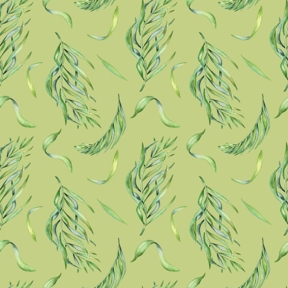 palma hojas de acai árbol acuarela sin costura modelo aislado en verde. verde desayuno tardío de tropical palmera, exótico hoja mano dibujado. diseño elemento para envase, embalaje, textil, fondo, papel vector