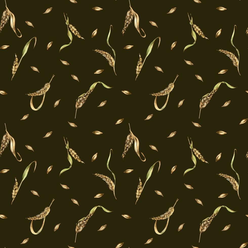 Wheat ear, barley watercolor seamless pattern on black background. Spikelet of rye, malt stalk hand drawn. Design element for textile, wrapping, packaging, label grocery, bakery, paper vector