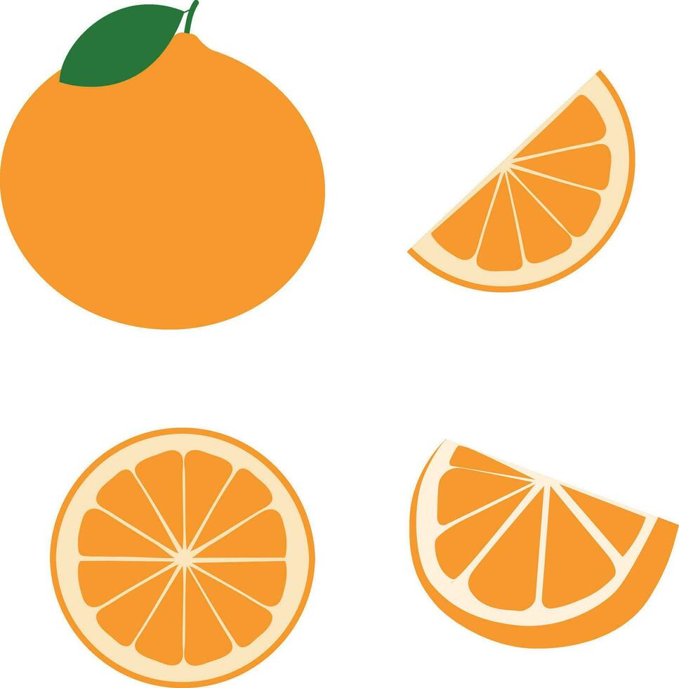 Fresh orange fruits, flat vector illustrations