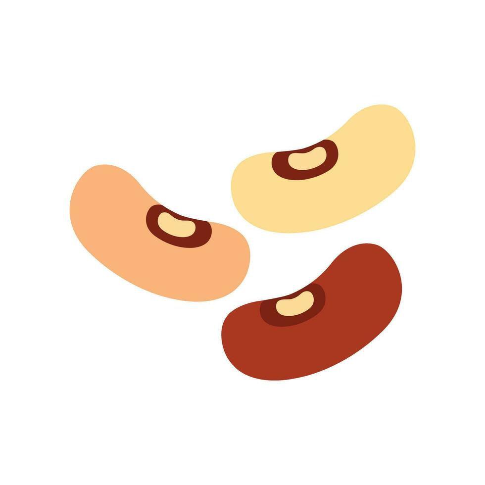 Beans, kidney beans Vector flat design