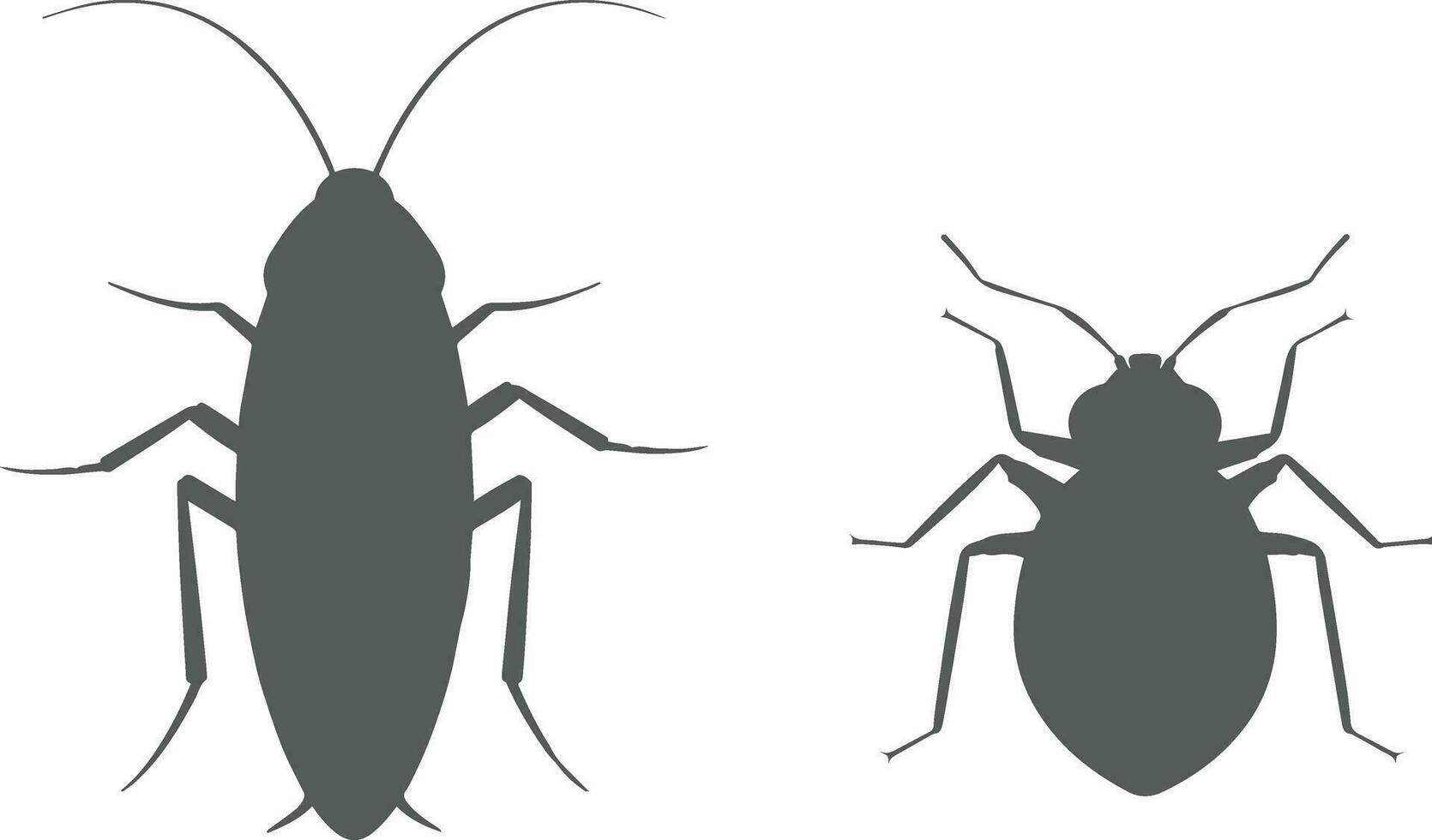 cockroach bug and bedbug vector