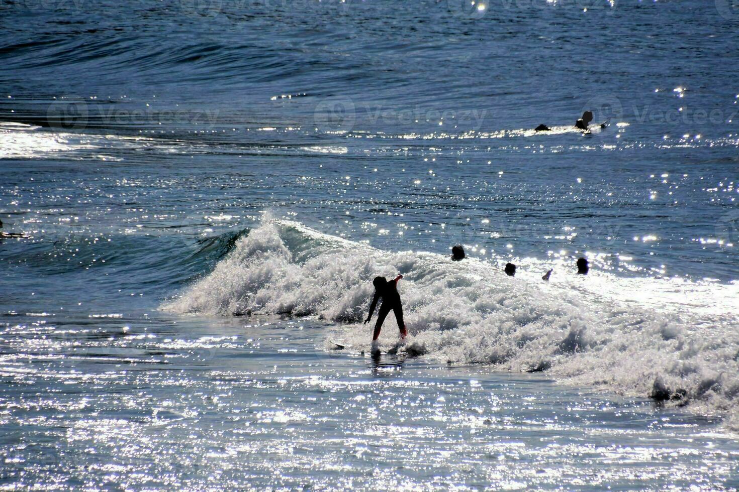 people on surfboards in the ocean photo