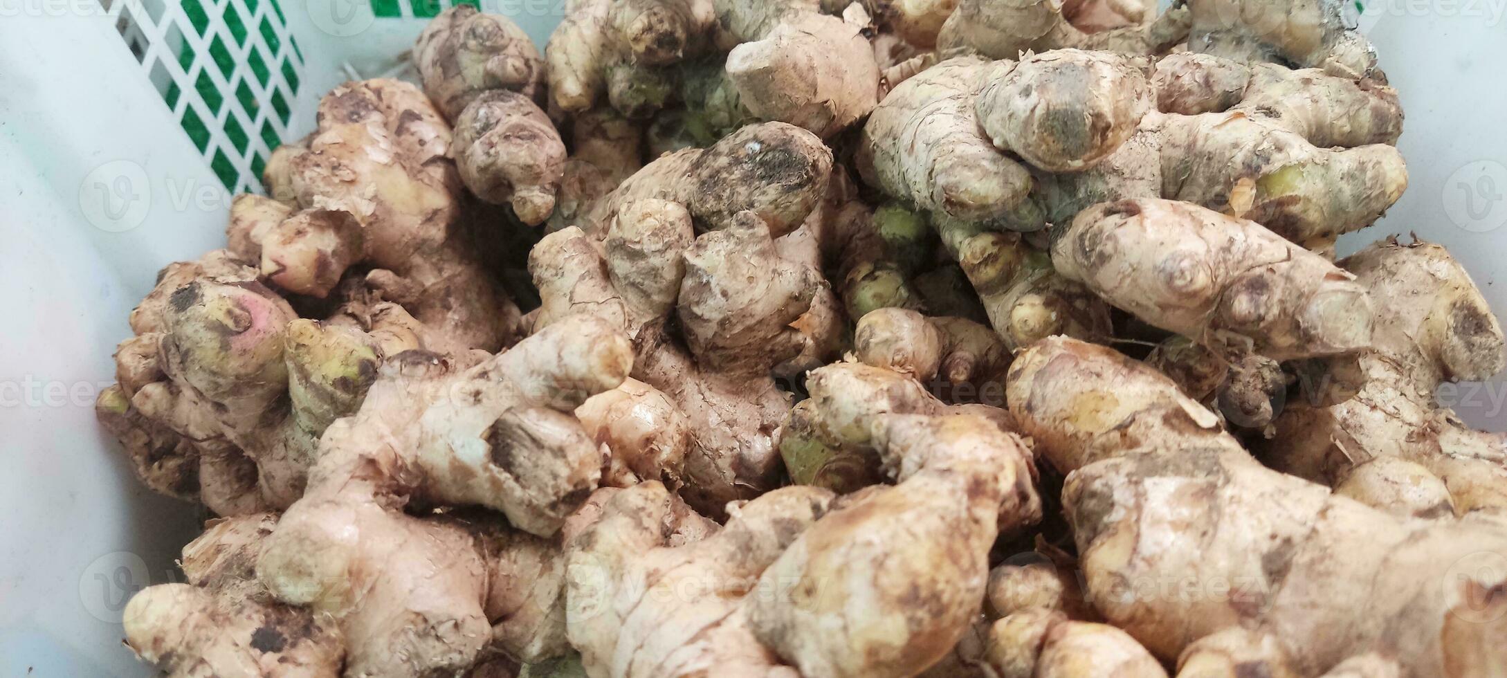 Fresh organic ginger on fresh market in indonesia photo