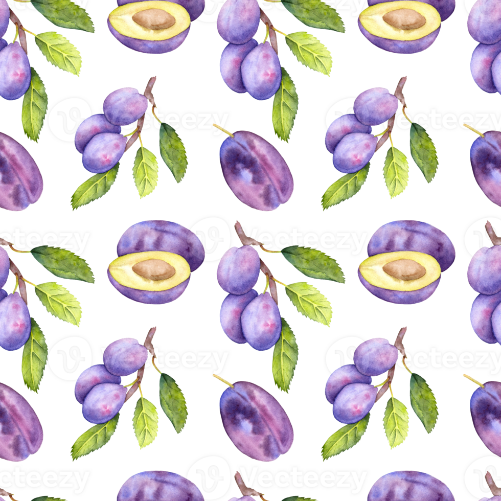 Hand drawn watercolor plum pattern. Seamless watercolor plum pattern. png