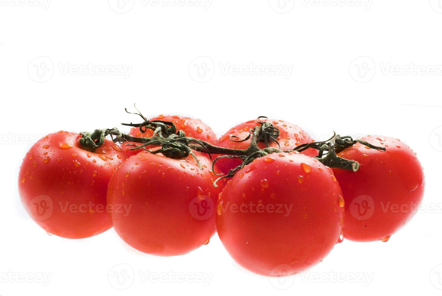 tomatos  on wite photo