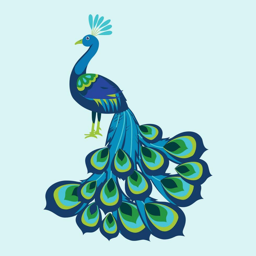 Vector illustration of beautiful  peacock