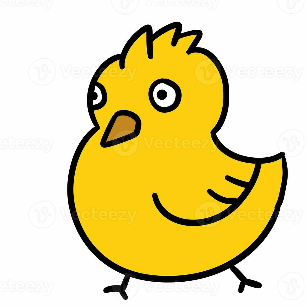 cartoon doodle cute chick on white background photo