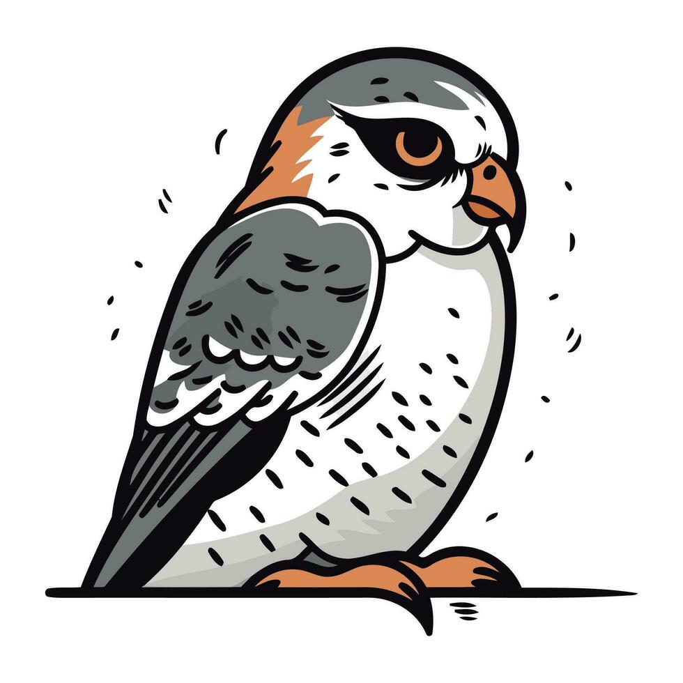 Illustration of a hawk on a white background. Vector illustration.