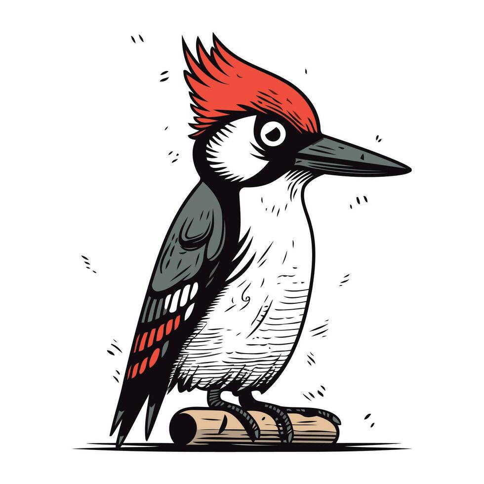 pájaro carpintero. mano dibujado vector ilustración aislado en blanco antecedentes.