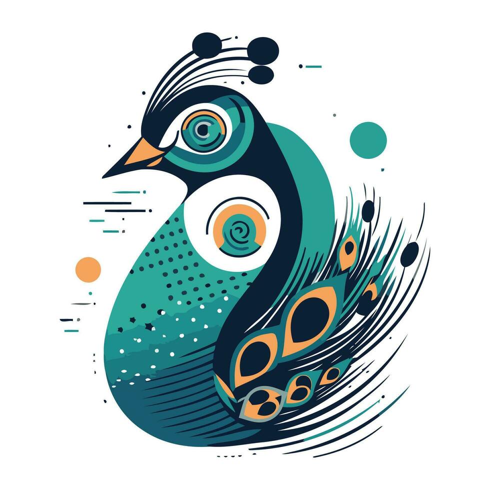 Vector illustration of a peacock on a white background. Colorful vector illustration.