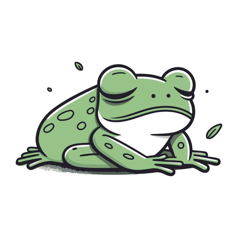 Frog vector illustration. Isolated frog on white background. Vector illustration.