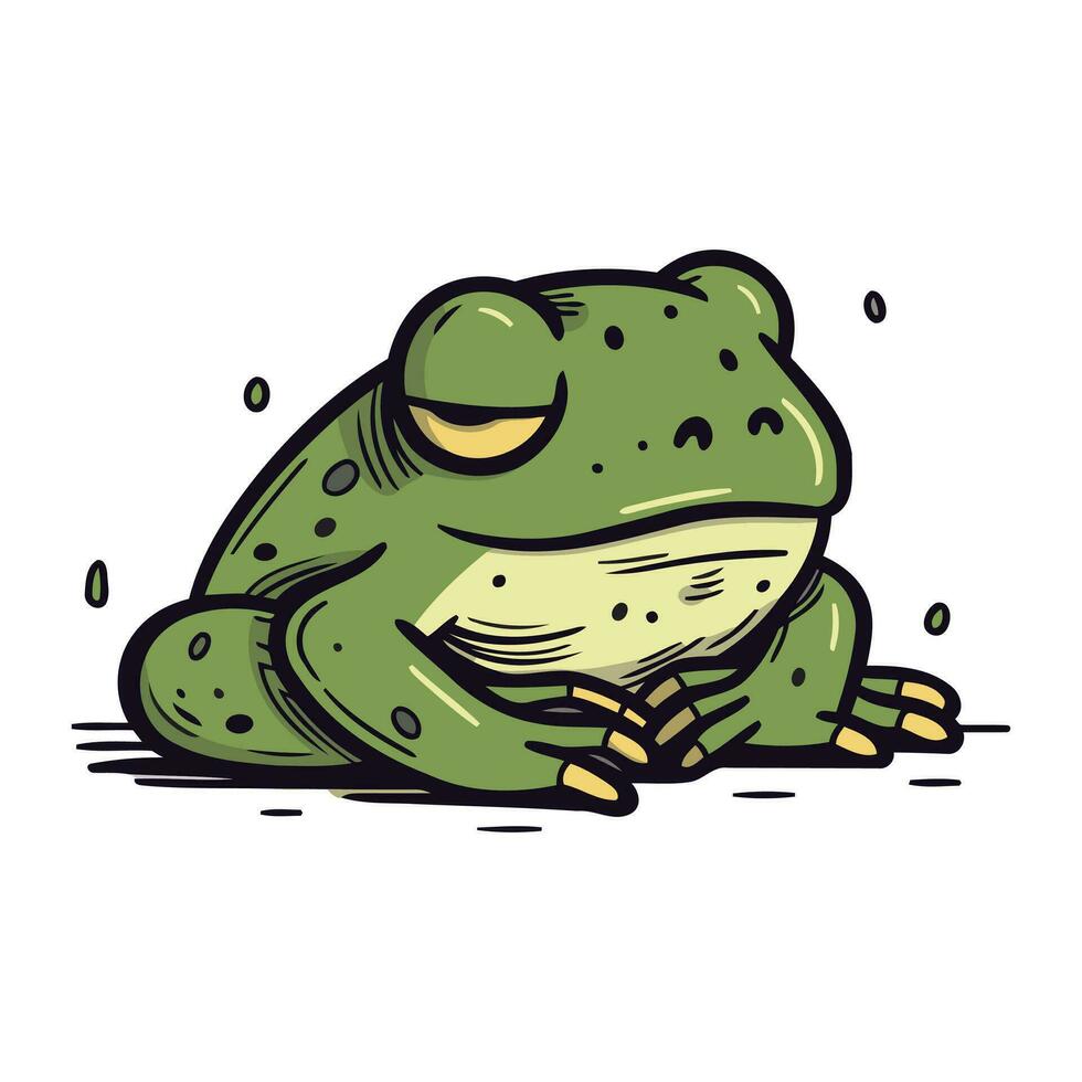 Frog. Vector illustration. Isolated on a white background.