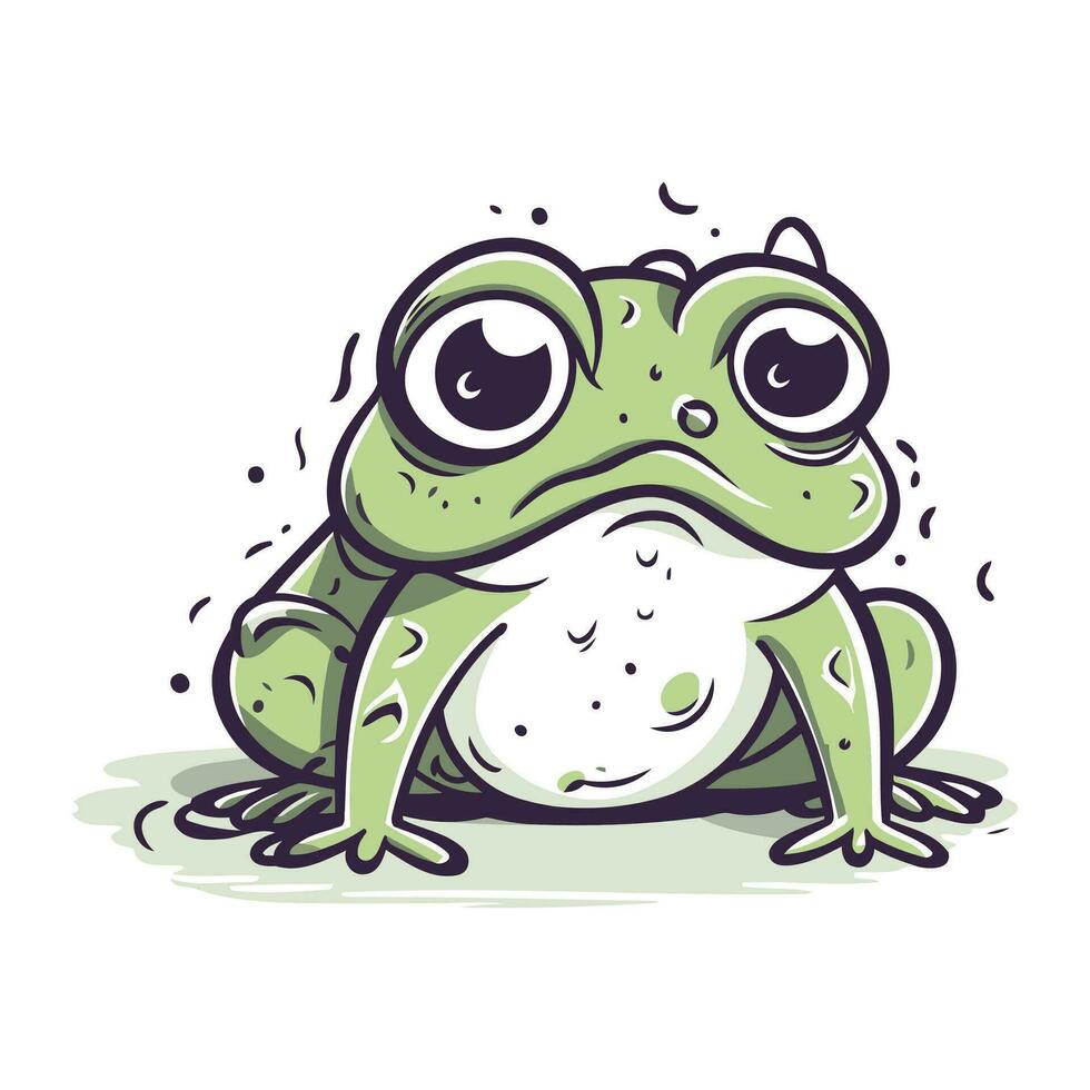 Frog. Vector illustration. Isolated on a white background.