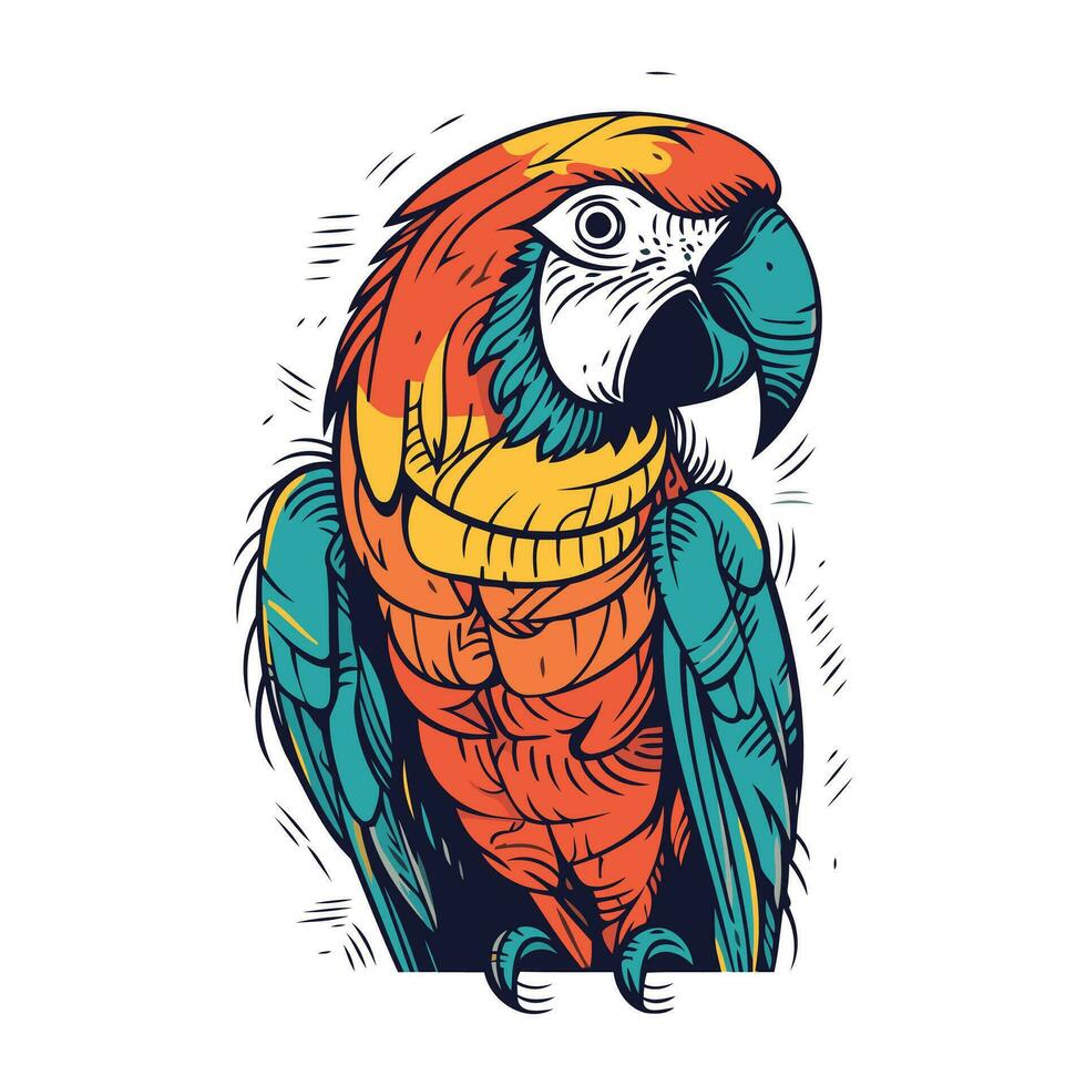 Colorful macaw parrot isolated on white background. Vector illustration.