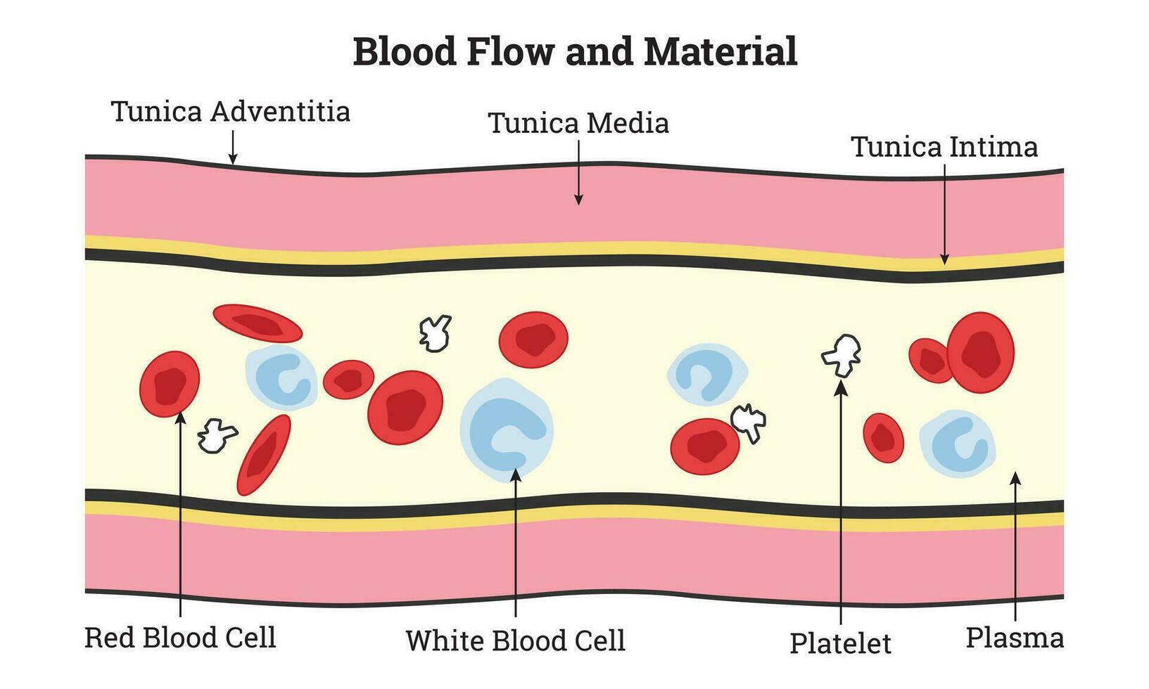 Blood Flow and Material Science Design Vector Illustration