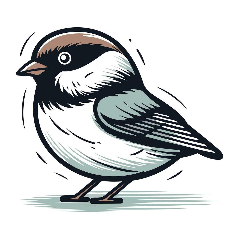 Vector illustration of a black capped chickadee bird.