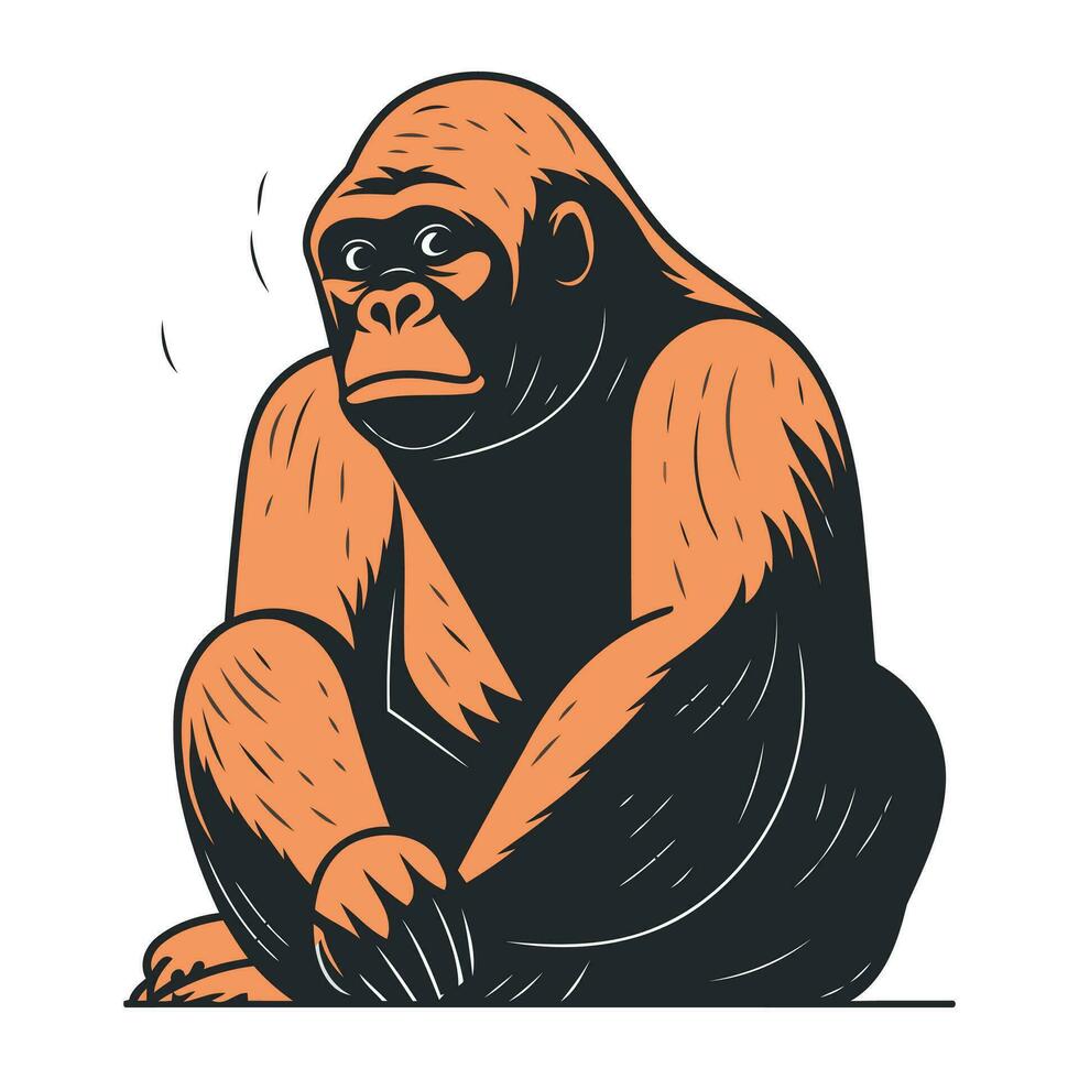 Gorilla sitting on the floor. Vector illustration isolated on white background.