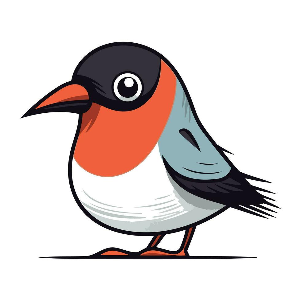 Bullfinch isolated on a white background. Vector illustration. EPS 10