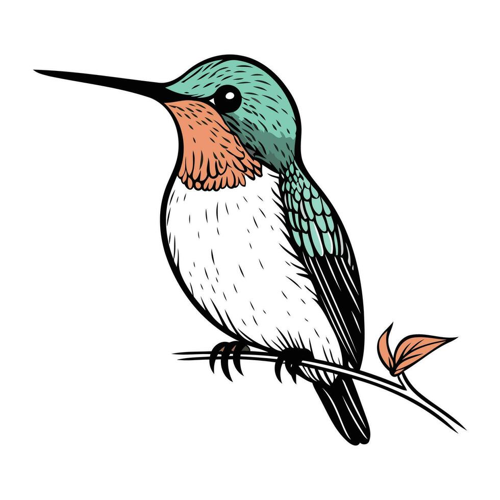 colibrí sentado en un rama. mano dibujado vector ilustración.