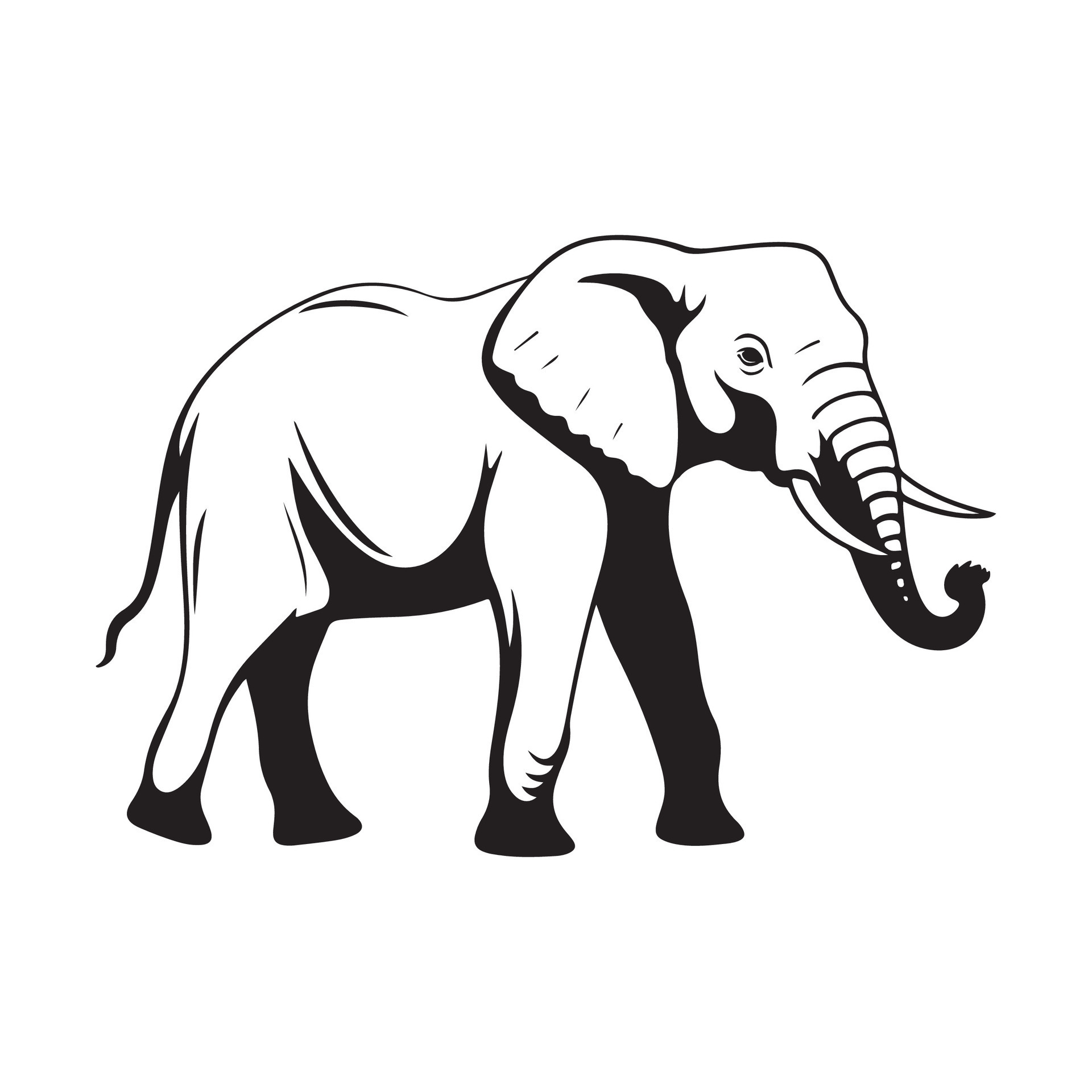 Elephant Vector Image, Art, Design and Illustration 33242579 Vector Art