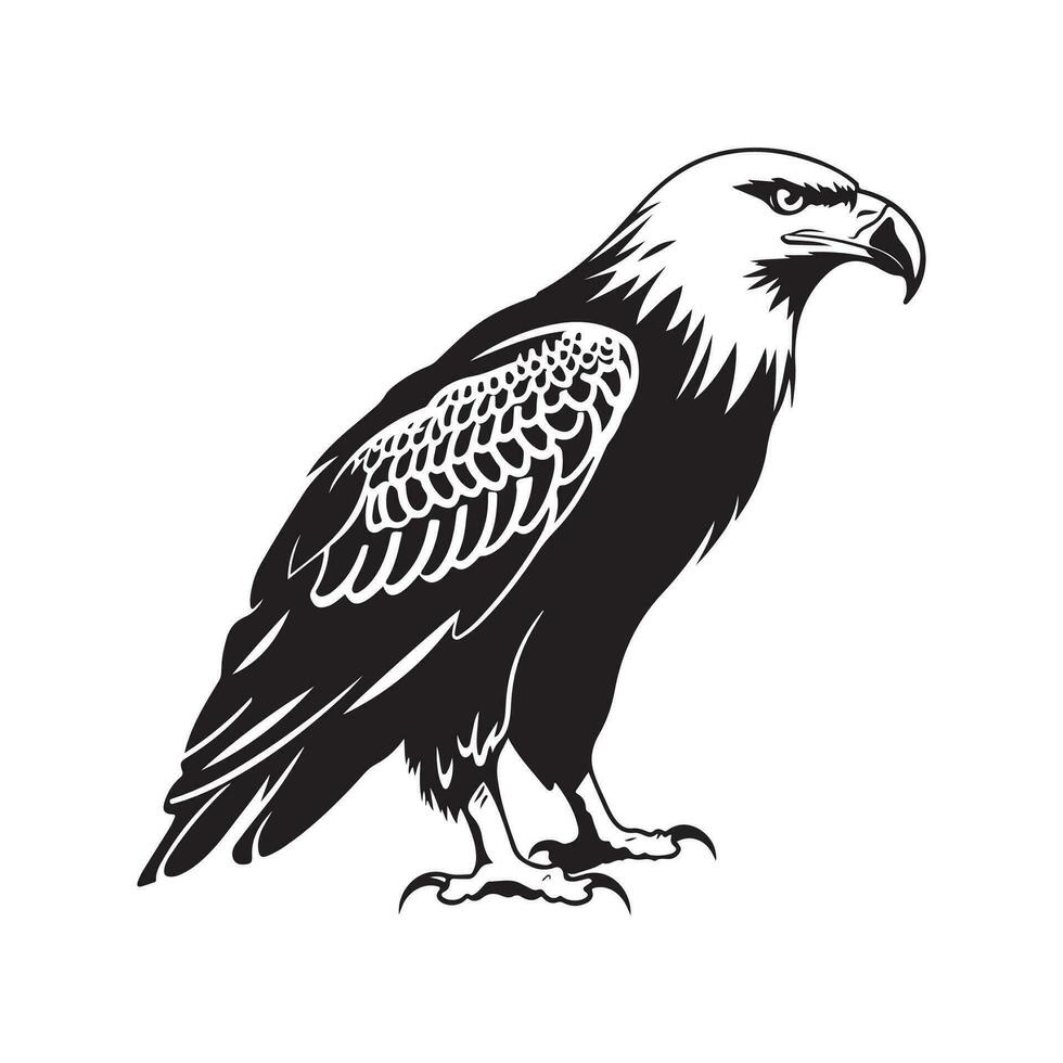 Eagle Vector Image, Art, Design