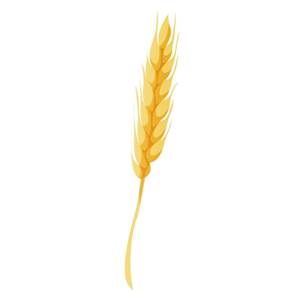 Homemade cooking wheat spikelet, spica. Kitchen bakery stuff, process of baking. Baking, bakery shop, cooking, sweet products, dessert for poster, banner, menu, cover, advertising vector