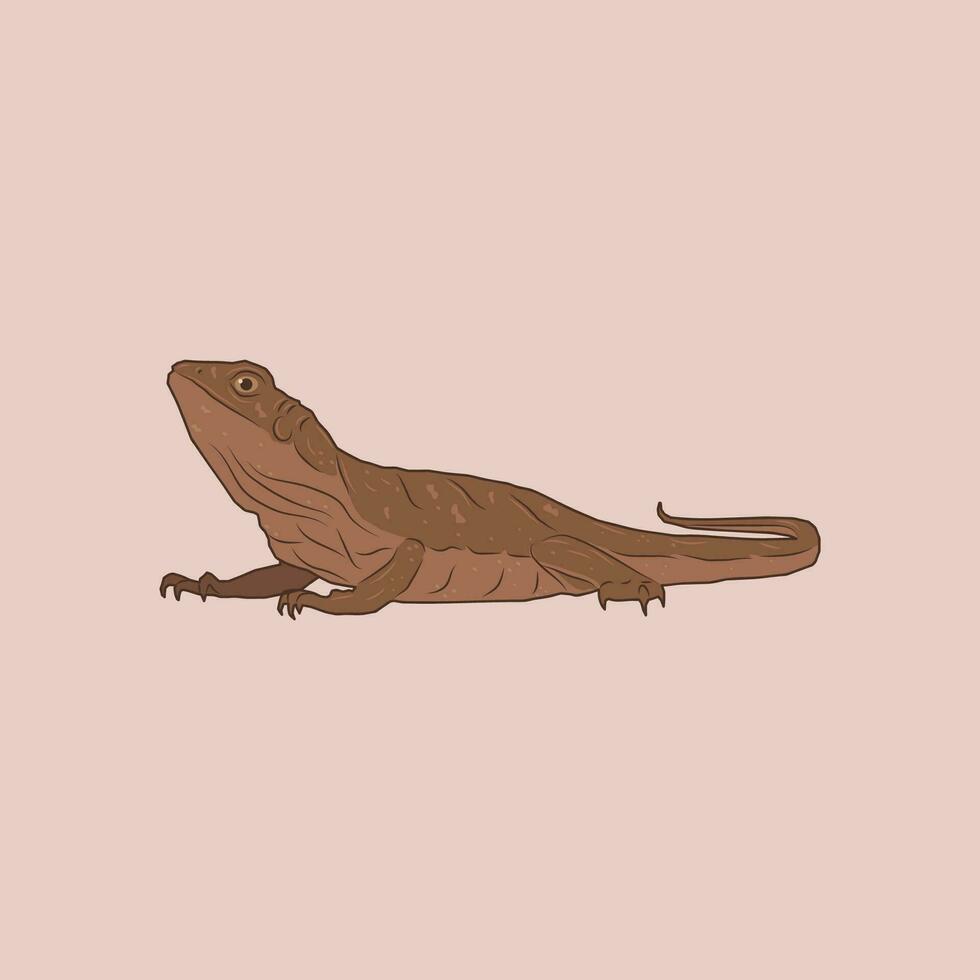 Illustration of a brown lizard with a long tail vector