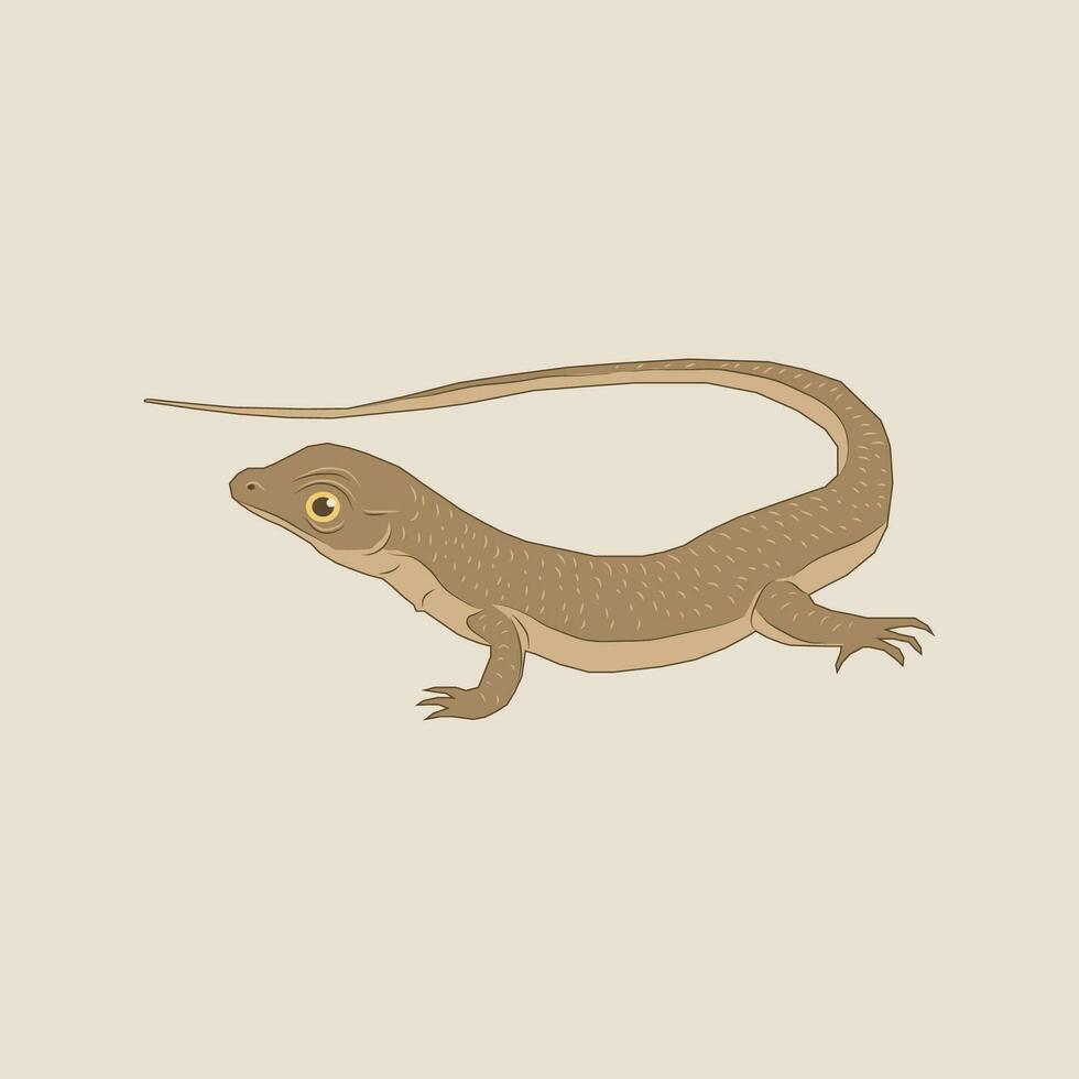 Illustration of a brown lizard with a long tail vector