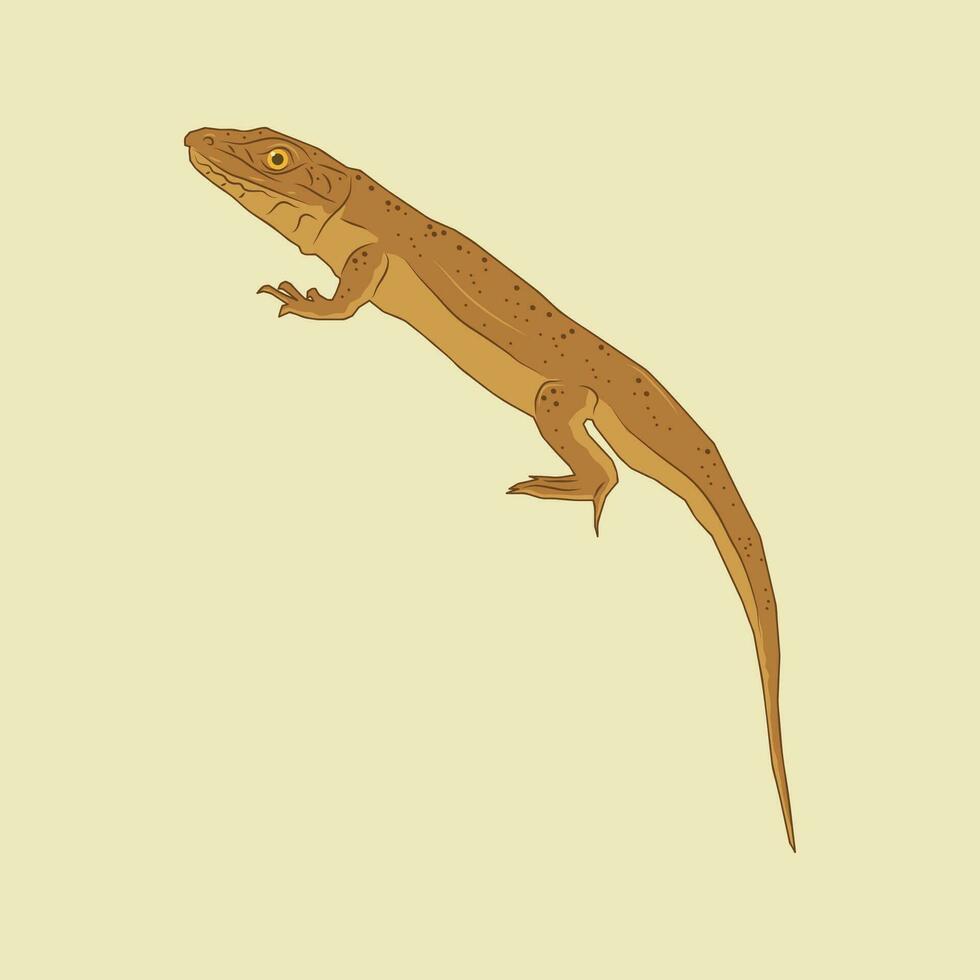 Illustration of a brown lizard with a long tail vector