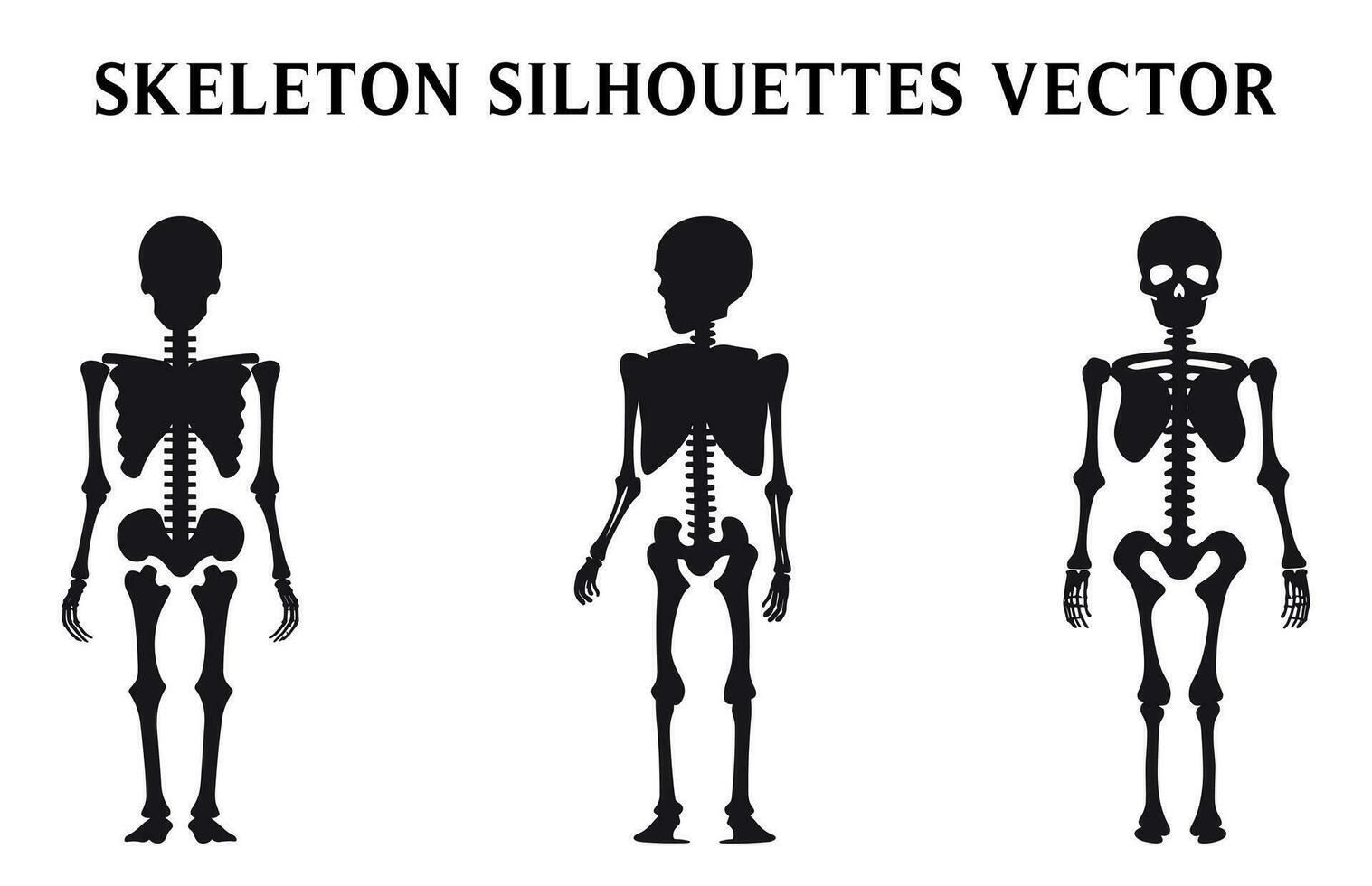 Set of Skeletons Vector for Halloween, Skeleton Silhouettes isolated on a White