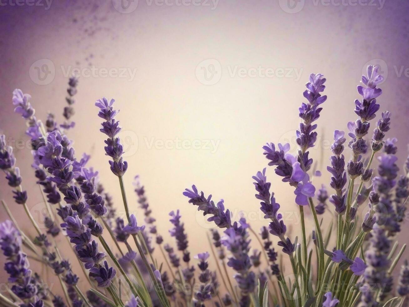 Textured background surrounded by lavender flowers, background image, generative AI photo