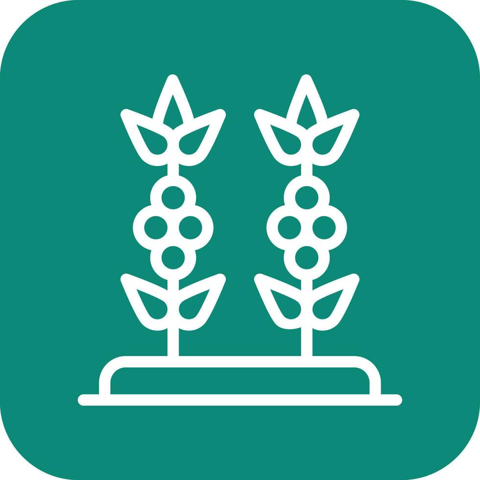 Coffee Plant Vector Icon Design Illustration