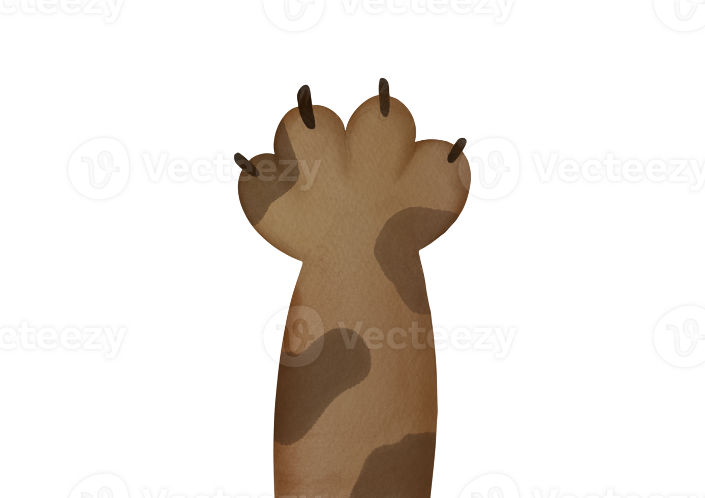 hand drawn watercolor brown spotted cat paws up. cute cartoon domestic animal foot on transparent background. Funny fur pet footprints with claws. cut out and clip art print png