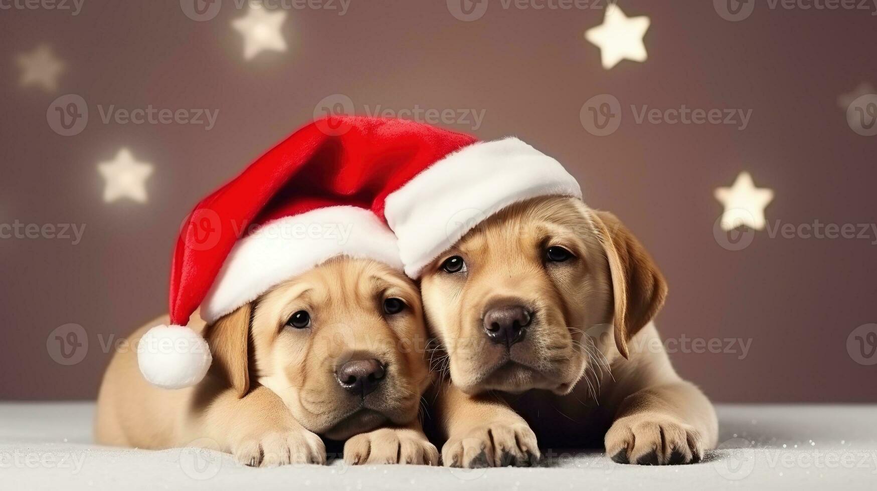 Cute White Dog with Christmas Hat Isolated on the Minimalist Background photo