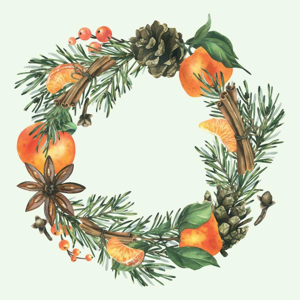 Christmas tree branches with tangerines, pine cones, spices. Hand drawn watercolor illustration. Wreath, circle frame on a white background for New Year and Christmas vector