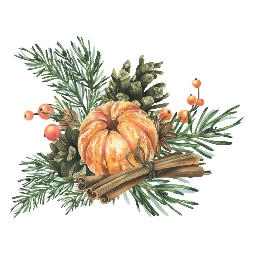 Peeled tangerine with spruce branches, pine cones and spices. Hand drawn watercolor illustration. Isolated composition on a white background for New Year and Christmas vector