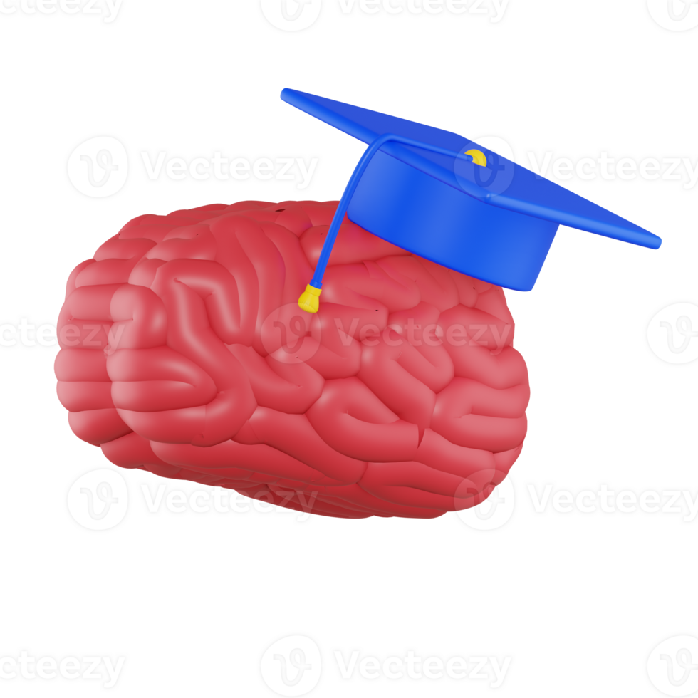 cérebro 3d ícone png